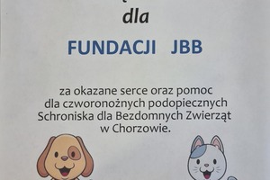 Wsparcie Schroniska dla Bezdomnych Zwierząt w Chorzowie
